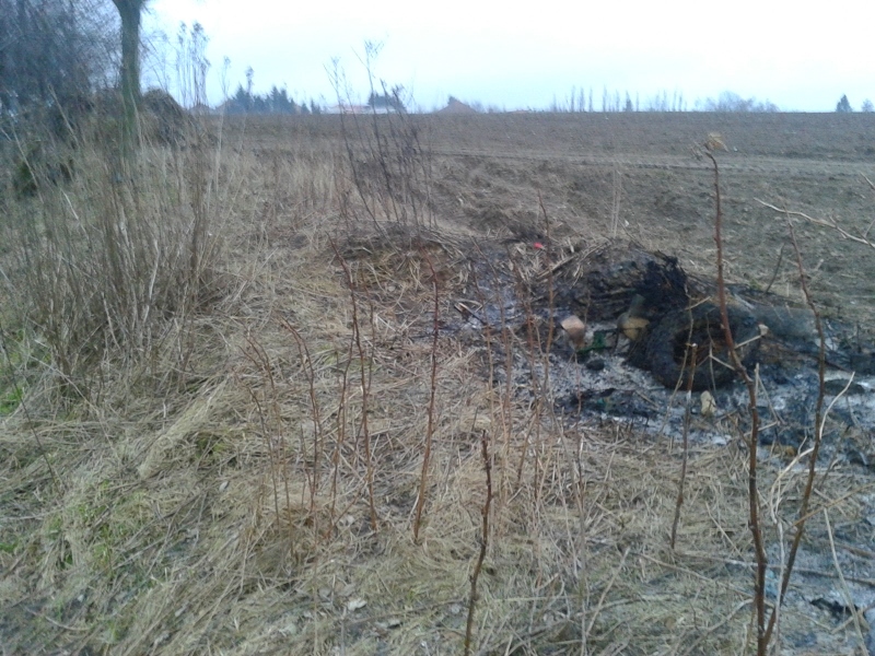 Fotografie-0236 (800x600)