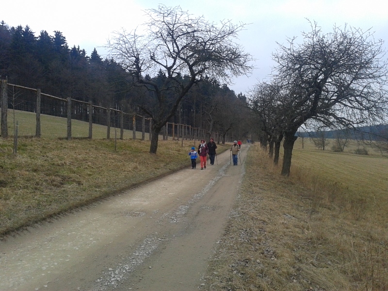 Fotografie-0250 (800x600)